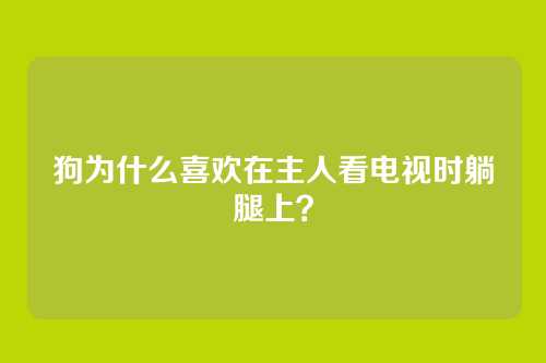 狗为什么喜欢在主人看电视时躺腿上？
