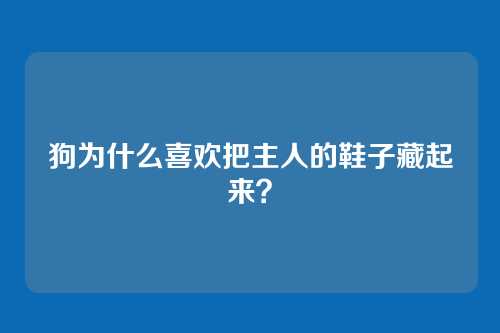 狗为什么喜欢把主人的鞋子藏起来？