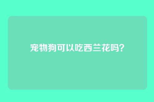 宠物狗可以吃西兰花吗？