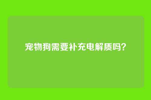 宠物狗需要补充电解质吗？