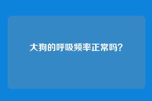 大狗的呼吸频率正常吗？