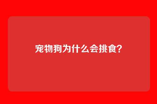 宠物狗为什么会挑食？