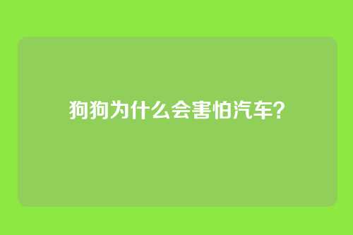 狗狗为什么会害怕汽车？