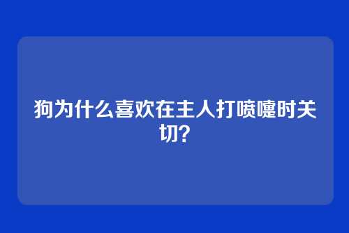 狗为什么喜欢在主人打喷嚏时关切？