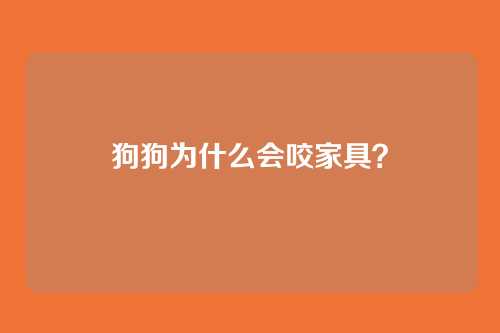 狗狗为什么会咬家具？