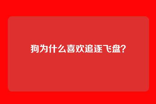 狗为什么喜欢追逐飞盘？