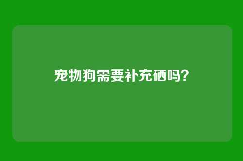 宠物狗需要补充硒吗？