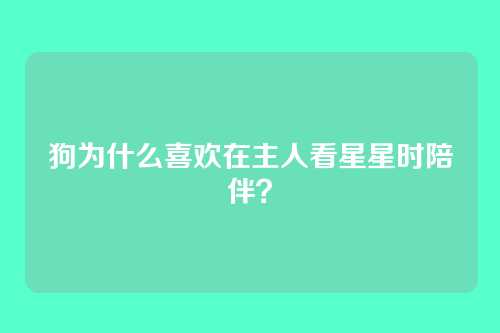 狗为什么喜欢在主人看星星时陪伴？