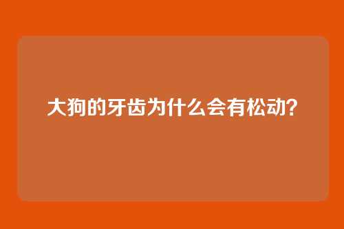 大狗的牙齿为什么会有松动？