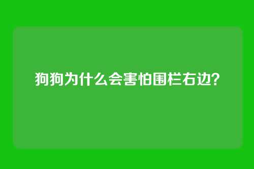 狗狗为什么会害怕围栏右边？