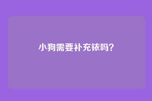 小狗需要补充铱吗？