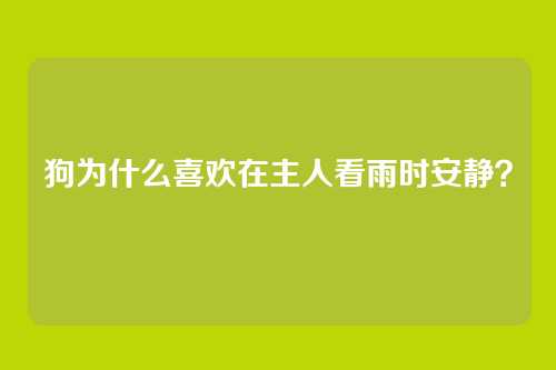 狗为什么喜欢在主人看雨时安静？