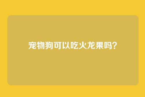 宠物狗可以吃火龙果吗？