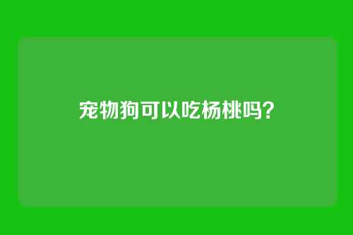 宠物狗可以吃杨桃吗？
