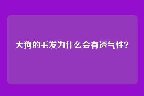 大狗的毛发为什么会有透气性？