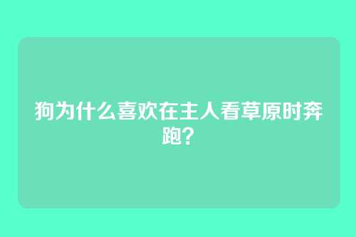 狗为什么喜欢在主人看草原时奔跑？