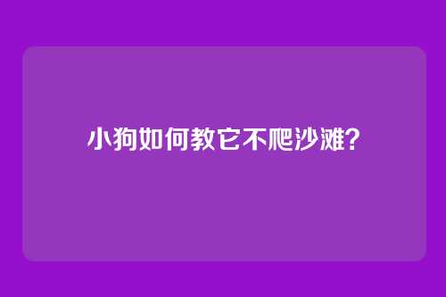 小狗如何教它不爬沙滩？