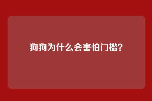 狗狗为什么会害怕门槛？