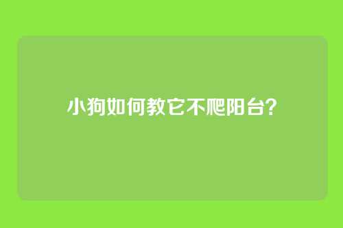 小狗如何教它不爬阳台？