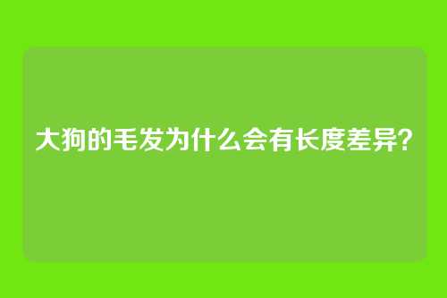 大狗的毛发为什么会有长度差异？