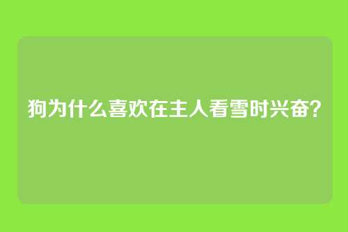 狗为什么喜欢在主人看雪时兴奋？