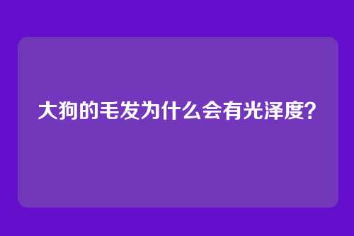 大狗的毛发为什么会有光泽度？