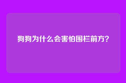 狗狗为什么会害怕围栏前方？