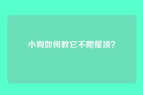 小狗如何教它不爬屋顶？
