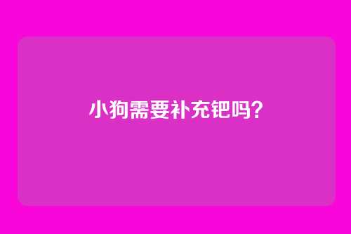 小狗需要补充钯吗？