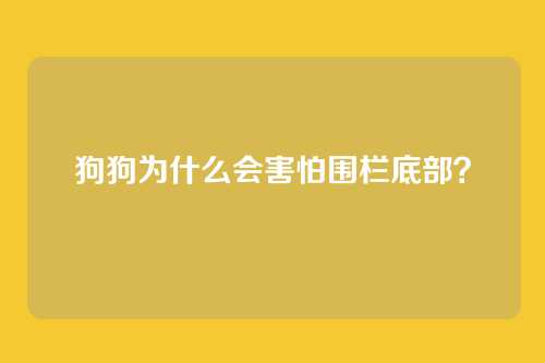 狗狗为什么会害怕围栏底部？