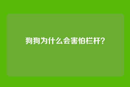 狗狗为什么会害怕栏杆？