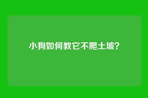 小狗如何教它不爬土坡？