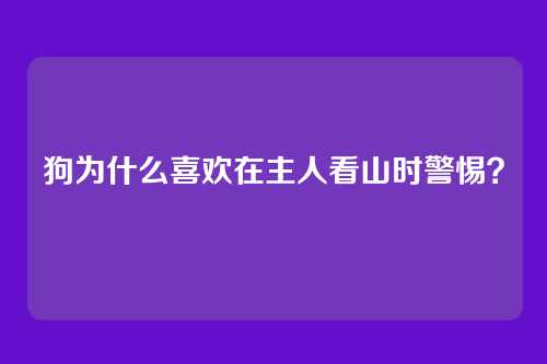 狗为什么喜欢在主人看山时警惕？