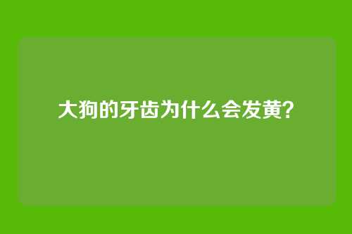 大狗的牙齿为什么会发黄？