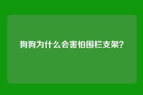 狗狗为什么会害怕围栏支架？