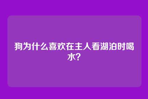 狗为什么喜欢在主人看湖泊时喝水？