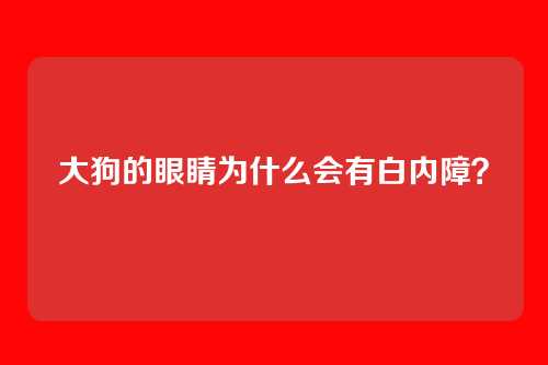 大狗的眼睛为什么会有白内障？