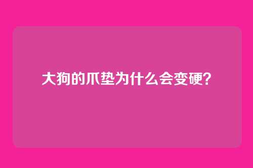 大狗的爪垫为什么会变硬？