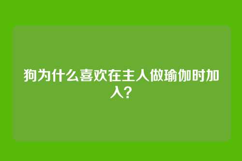 狗为什么喜欢在主人做瑜伽时加入？