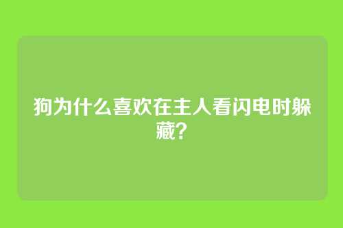 狗为什么喜欢在主人看闪电时躲藏？