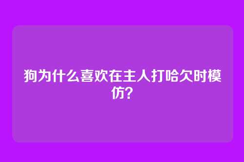 狗为什么喜欢在主人打哈欠时模仿？