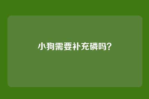 小狗需要补充磷吗？