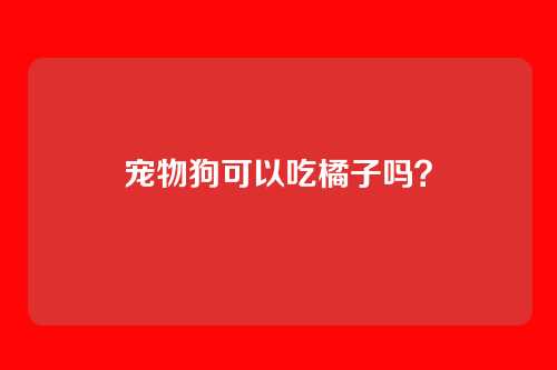 宠物狗可以吃橘子吗？