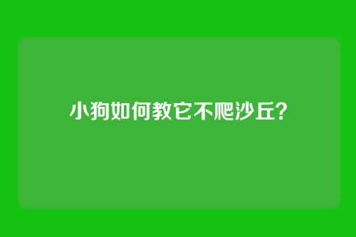 小狗如何教它不爬沙丘？