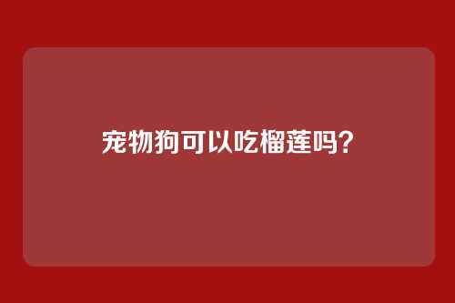 宠物狗可以吃榴莲吗？
