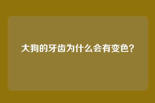 大狗的牙齿为什么会有变色？