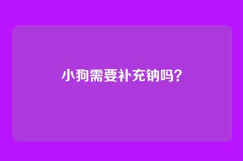 小狗需要补充钠吗？