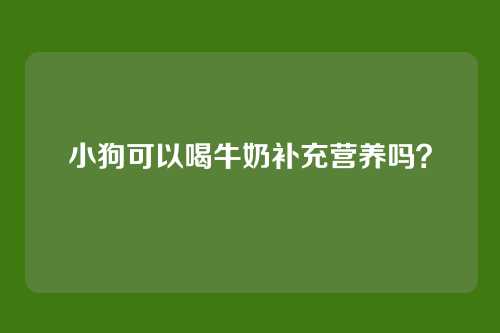 小狗可以喝牛奶补充营养吗？