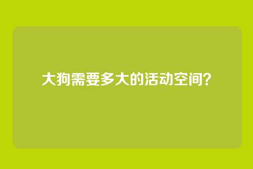 大狗需要多大的活动空间？