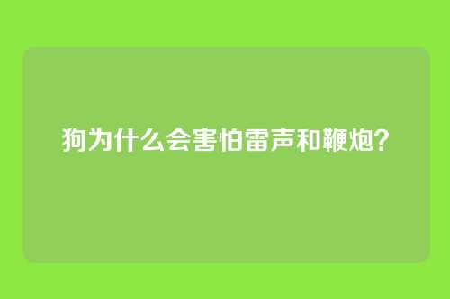 狗为什么会害怕雷声和鞭炮？